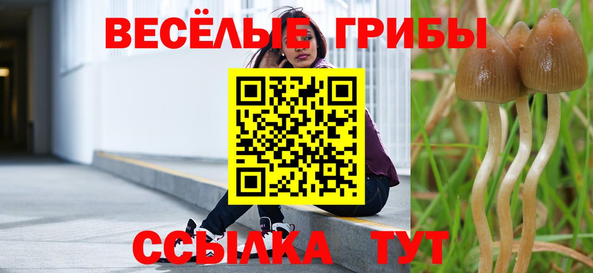 Галлюциногенные грибы MAGIC MUSHROOMS  Вход с VPN  Саров  Псилоцибиновые грибы ЛСД 