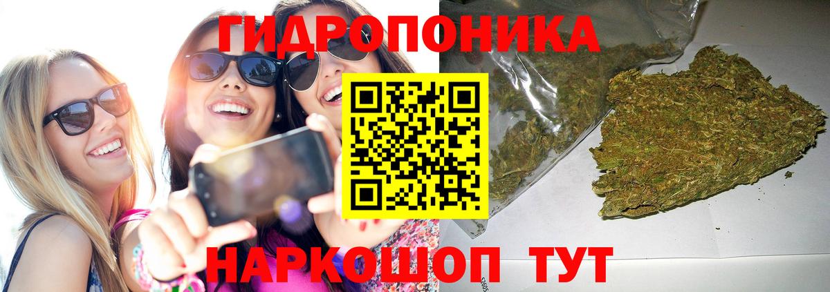 Бошки марихуана OG Kush  Вход с VPN  Бошки марихуана гибрид  Саров 